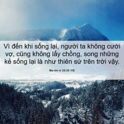 Picture 06 - Ma-thi-ơ 22:30 VIE - Vì đến khi sống lại, người ta không - Bible Verse Picture