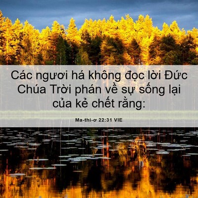 Picture 06 - Ma-thi-ơ 22:31 VIE - Các ngươi há không đọc lời Đức Chúa - Bible Verse Picture
