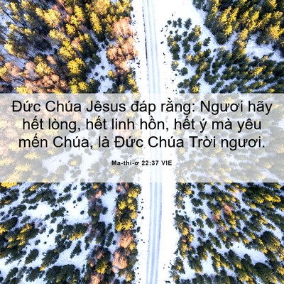 Picture 06 - Ma-thi-ơ 22:37 VIE - Đức Chúa Jêsus đáp rằng: Ngươi hãy - Bible Verse Picture