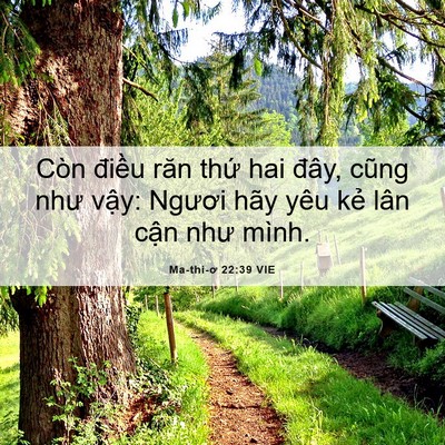 Picture 06 - Ma-thi-ơ 22:39 VIE - Còn điều răn thứ hai đây, cũng như - Bible Verse Picture
