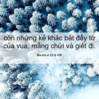 Picture 06 - Ma-thi-ơ 22:6 VIE - còn những kẻ khác bắt đầy tớ của - Bible Verse Picture