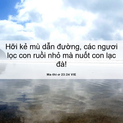 Picture 06 - Ma-thi-ơ 23:24 VIE - Hỡi kẻ mù dẫn đường, các ngươi - Bible Verse Picture