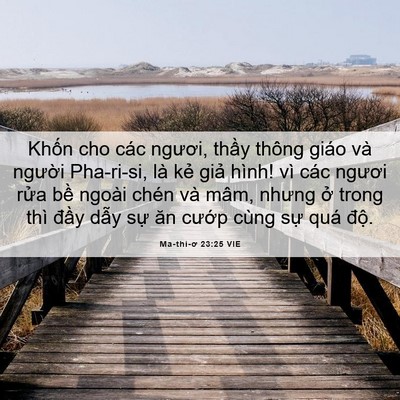 Picture 06 - Ma-thi-ơ 23:25 VIE - Khốn cho các ngươi, thầy thông giáo và - Bible Verse Picture