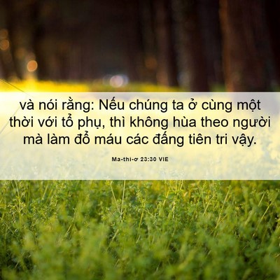 Picture 06 - Ma-thi-ơ 23:30 VIE - và nói rằng: Nếu chúng ta ở cùng một - Bible Verse Picture