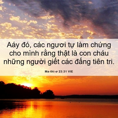 Picture 06 - Ma-thi-ơ 23:31 VIE - Aáy đó, các ngươi tự làm chứng cho - Bible Verse Picture