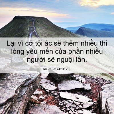 Picture 06 - Ma-thi-ơ 24:12 VIE - Lại vì cớ tội ác sẽ thêm nhiều thì - Bible Verse Picture