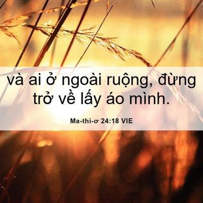 Picture 06 - Ma-thi-ơ 24:18 VIE - và ai ở ngoài ruộng, đừng trở về - Bible Verse Picture