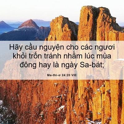 Picture 06 - Ma-thi-ơ 24:20 VIE - Hãy cầu nguyện cho các ngươi khỏi - Bible Verse Picture