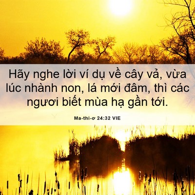 Picture 06 - Ma-thi-ơ 24:32 VIE - Hãy nghe lời ví dụ về cây vả, vừa - Bible Verse Picture