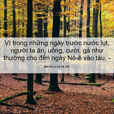 Picture 06 - Ma-thi-ơ 24:38 VIE - Vì trong những ngày trước nước lụt, - Bible Verse Picture
