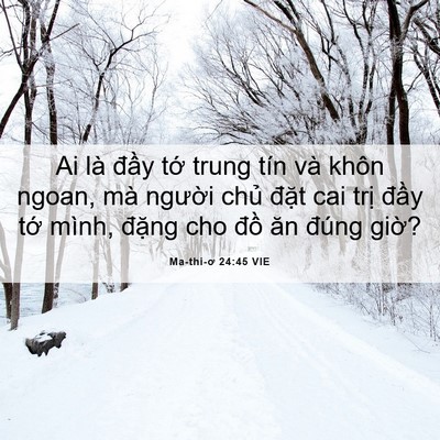 Picture 06 - Ma-thi-ơ 24:45 VIE - Ai là đầy tớ trung tín và khôn ngoan, - Bible Verse Picture