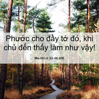 Picture 06 - Ma-thi-ơ 24:46 VIE - Phước cho đầy tớ đó, khi chủ đến - Bible Verse Picture