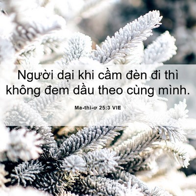 Picture 06 - Ma-thi-ơ 25:3 VIE - Người dại khi cầm đèn đi thì không - Bible Verse Picture