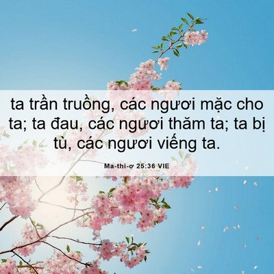 Picture 06 - Ma-thi-ơ 25:36 VIE - ta trần truồng, các ngươi mặc cho ta; ta - Bible Verse Picture