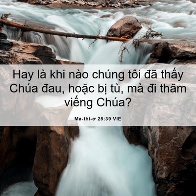 Picture 06 - Ma-thi-ơ 25:39 VIE - Hay là khi nào chúng tôi đã thấy Chúa - Bible Verse Picture