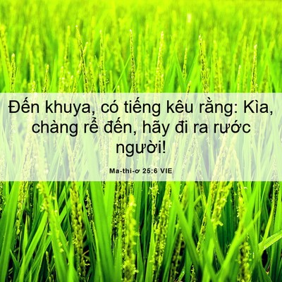 Picture 06 - Ma-thi-ơ 25:6 VIE - Đến khuya, có tiếng kêu rằng: Kìa, - Bible Verse Picture