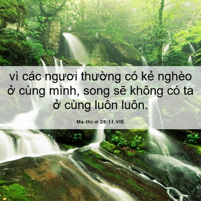 Picture 06 - Ma-thi-ơ 26:11 VIE - vì các ngươi thường có kẻ nghèo ở - Bible Verse Picture