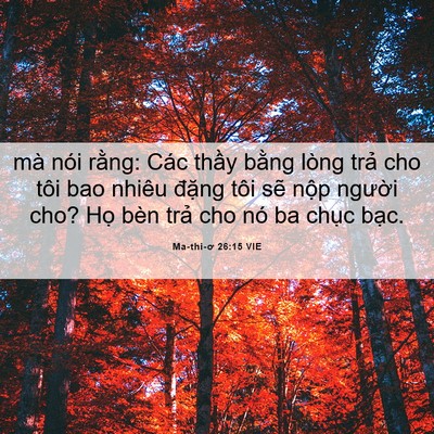 Picture 06 - Ma-thi-ơ 26:15 VIE - mà nói rằng: Các thầy bằng lòng trả - Bible Verse Picture