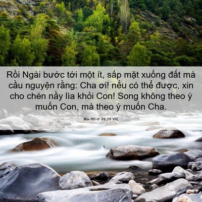 Picture 06 - Ma-thi-ơ 26:39 VIE - Rồi Ngài bước tới một ít, sấp mặt - Bible Verse Picture