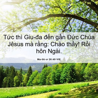 Picture 06 - Ma-thi-ơ 26:49 VIE - Tức thì Giu-đa đến gần Đức Chúa - Bible Verse Picture