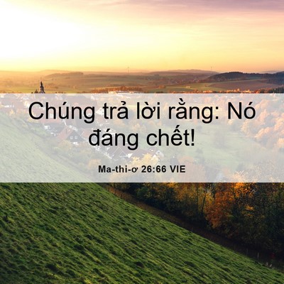Picture 06 - Ma-thi-ơ 26:66 VIE - Chúng trả lời rằng: Nó đáng - Bible Verse Picture