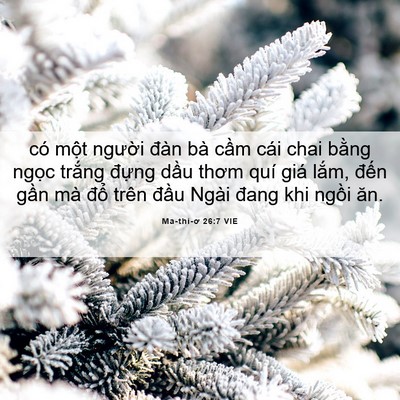 Picture 06 - Ma-thi-ơ 26:7 VIE - có một người đàn bà cầm cái chai - Bible Verse Picture