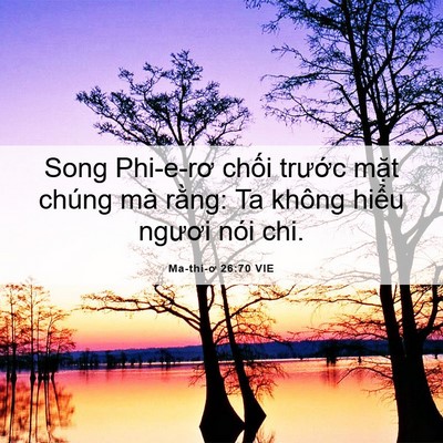 Picture 06 - Ma-thi-ơ 26:70 VIE - Song Phi-e-rơ chối trước mặt chúng mà - Bible Verse Picture