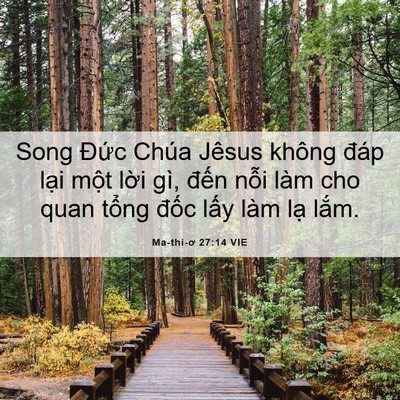 Picture 06 - Ma-thi-ơ 27:14 VIE - Song Đức Chúa Jêsus không đáp lại một - Bible Verse Picture