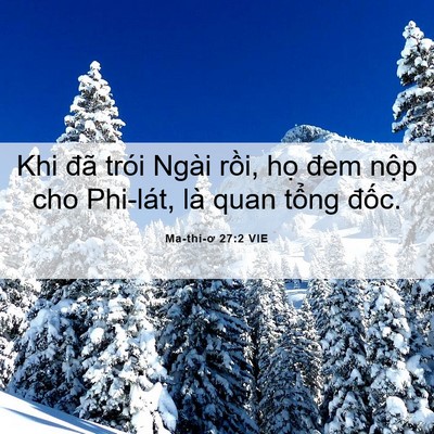 Picture 06 - Ma-thi-ơ 27:2 VIE - Khi đã trói Ngài rồi, họ đem nộp cho - Bible Verse Picture