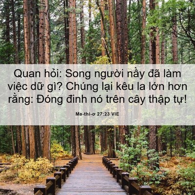 Picture 06 - Ma-thi-ơ 27:23 VIE - Quan hỏi: Song người nầy đã làm việc - Bible Verse Picture