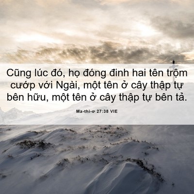 Picture 06 - Ma-thi-ơ 27:38 VIE - Cũng lúc đó, họ đóng đinh hai tên - Bible Verse Picture
