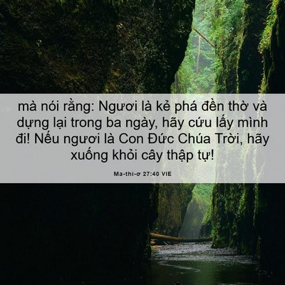 Picture 06 - Ma-thi-ơ 27:40 VIE - mà nói rằng: Ngươi là kẻ phá đền - Bible Verse Picture