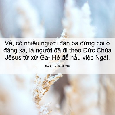 Picture 06 - Ma-thi-ơ 27:55 VIE - Vả, có nhiều người đàn bà đứng coi - Bible Verse Picture