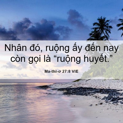 Picture 06 - Ma-thi-ơ 27:8 VIE - Nhân đó, ruộng ấy đến nay còn gọi - Bible Verse Picture