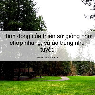 Picture 06 - Ma-thi-ơ 28:3 VIE - Hình dong của thiên sứ giống như chớp - Bible Verse Picture