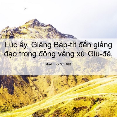 Picture 06 - Ma-thi-ơ 3:1 VIE - Lúc ấy, Giăng Báp-tít đến giảng đạo - Bible Verse Picture