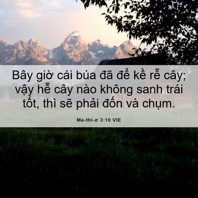 Picture 06 - Ma-thi-ơ 3:10 VIE - Bây giờ cái búa đã để kề rễ cây; - Bible Verse Picture
