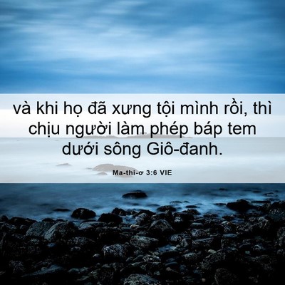 Picture 06 - Ma-thi-ơ 3:6 VIE - và khi họ đã xưng tội mình rồi, thì - Bible Verse Picture