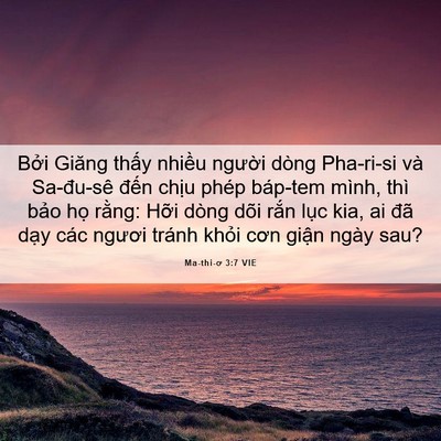 Picture 06 - Ma-thi-ơ 3:7 VIE - Bởi Giăng thấy nhiều người dòng - Bible Verse Picture