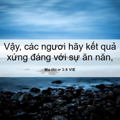 Picture 06 - Ma-thi-ơ 3:8 VIE - Vậy, các ngươi hãy kết quả xứng - Bible Verse Picture