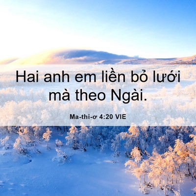 Picture 06 - Ma-thi-ơ 4:20 VIE - Hai anh em liền bỏ lưới mà theo - Bible Verse Picture
