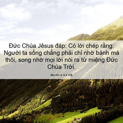 Picture 06 - Ma-thi-ơ 4:4 VIE - Đức Chúa Jêsus đáp: Có lời chép - Bible Verse Picture