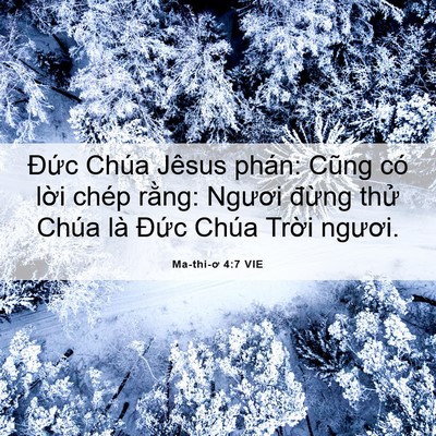 Picture 06 - Ma-thi-ơ 4:7 VIE - Đức Chúa Jêsus phán: Cũng có lời chép - Bible Verse Picture