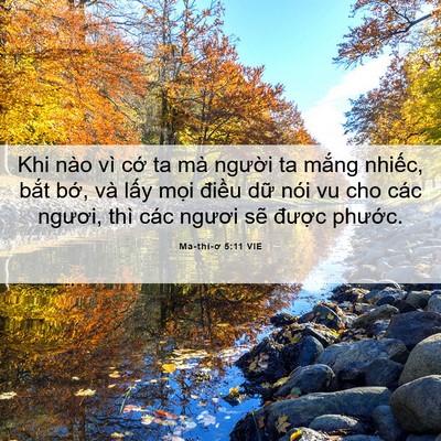 Picture 06 - Ma-thi-ơ 5:11 VIE - Khi nào vì cớ ta mà người ta mắng - Bible Verse Picture