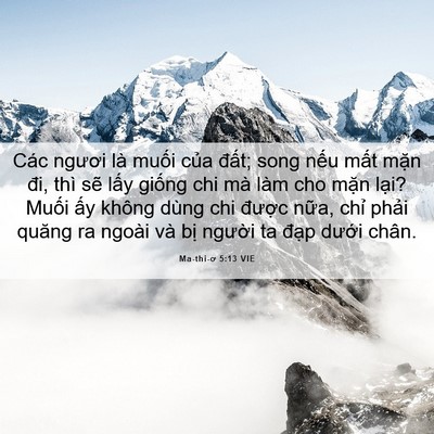 Picture 06 - Ma-thi-ơ 5:13 VIE - Các ngươi là muối của đất; song nếu - Bible Verse Picture