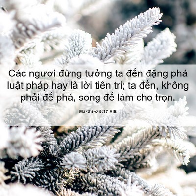 Picture 06 - Ma-thi-ơ 5:17 VIE - Các ngươi đừng tưởng ta đến đặng - Bible Verse Picture