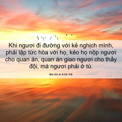 Picture 06 - Ma-thi-ơ 5:25 VIE - Khi ngươi đi đường với kẻ nghịch - Bible Verse Picture
