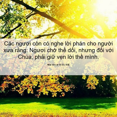 Picture 06 - Ma-thi-ơ 5:33 VIE - Các ngươi còn có nghe lời phán cho - Bible Verse Picture