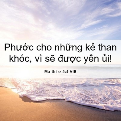 Picture 06 - Ma-thi-ơ 5:4 VIE - Phước cho những kẻ than khóc, vì sẽ - Bible Verse Picture
