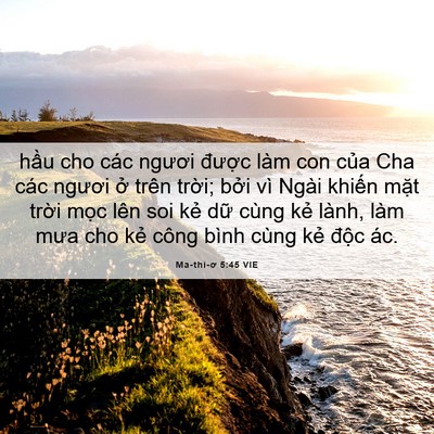 Picture 06 - Ma-thi-ơ 5:45 VIE - hầu cho các ngươi được làm con của - Bible Verse Picture